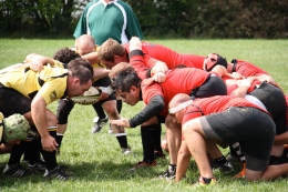 rugby 3-8