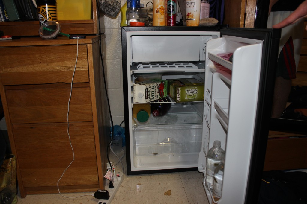Yes, that is mold at the bottom of the fridge.